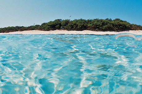 big_farasanbanksexplorer_01